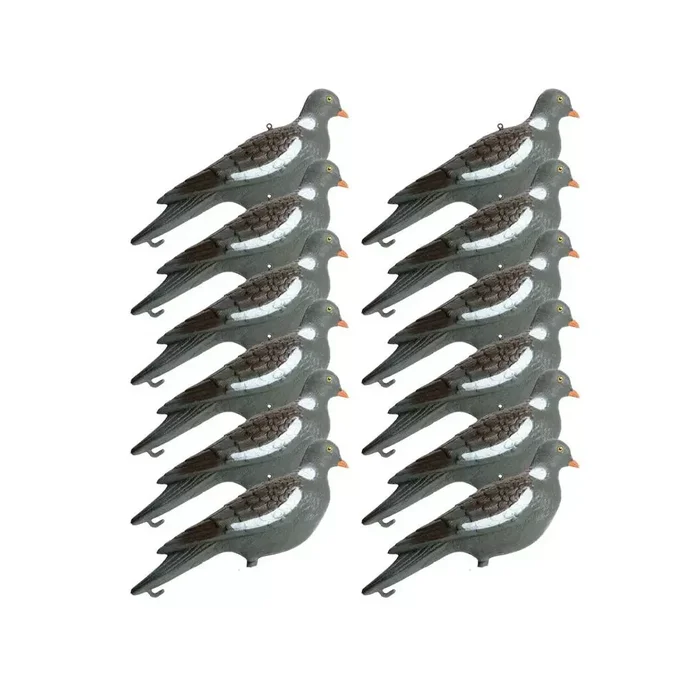 12 formes de pigeon avec piquet