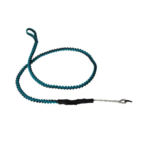 Accessoires AilesMystic Wingleash Waist teal