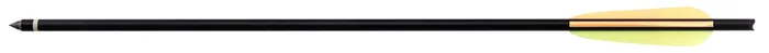 AJ9109 Traits d’arbalètes Ek Archery par 5