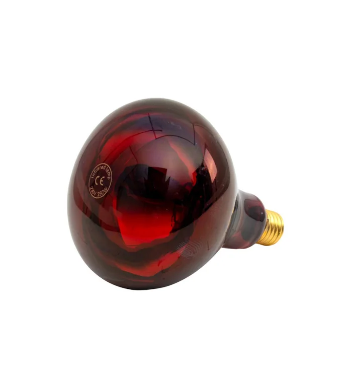 Ampoule infrarouge IR 250 W rouge