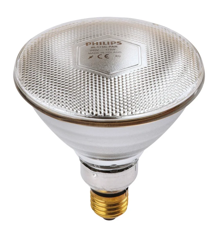 Ampoule PHILIPS IR/PAR blanche 100W