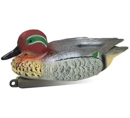 Appelant canard sarcelle d hiver mâle