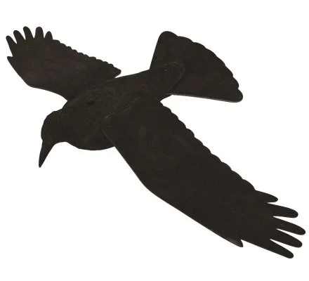 Appelant corbeau à ailes déployées EVA
