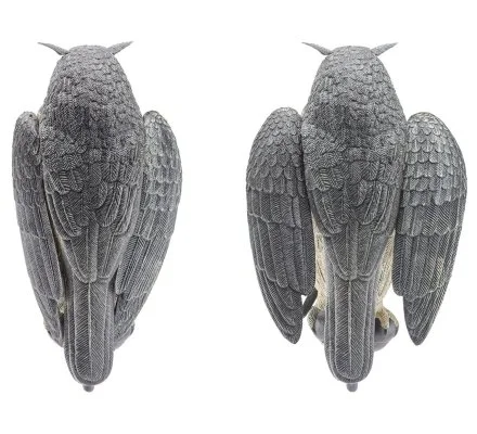 Appelant grand duc à ailes battantes – Image 2