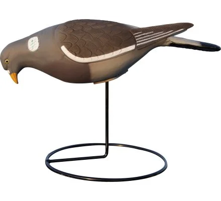 Appelant pigeon au gagnage HD