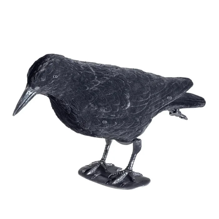 Appelants Stepland Corbeau Floqué Par 12