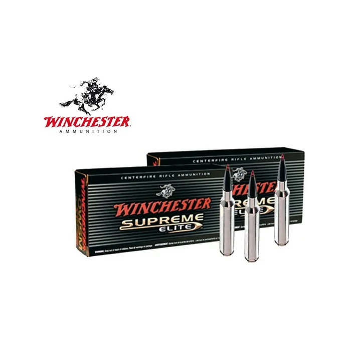 BALLE SUPREME BALLISTIC SILVERTIP 243 WIN WINCHESTER