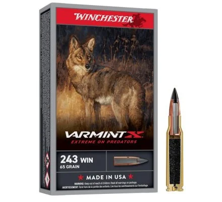 Balles 243WIN Varmint X 65 grain WINCHESTER