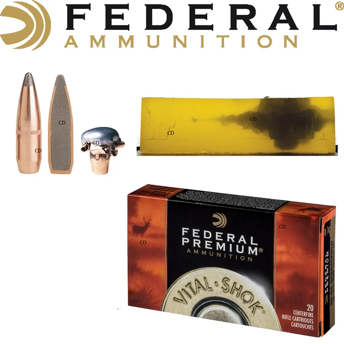 BALLES FEDERAL SIERRA GAMEKING BTSP VITAL SHOK 270 WIN 150 Grains PAR 20