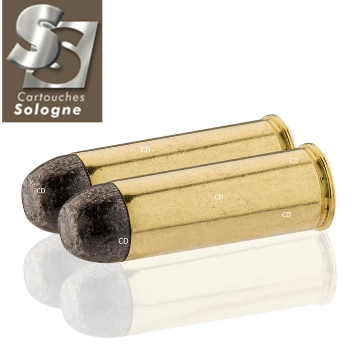 BALLES SOLOGNE 45-70 GVT 300 Grains PAR 20