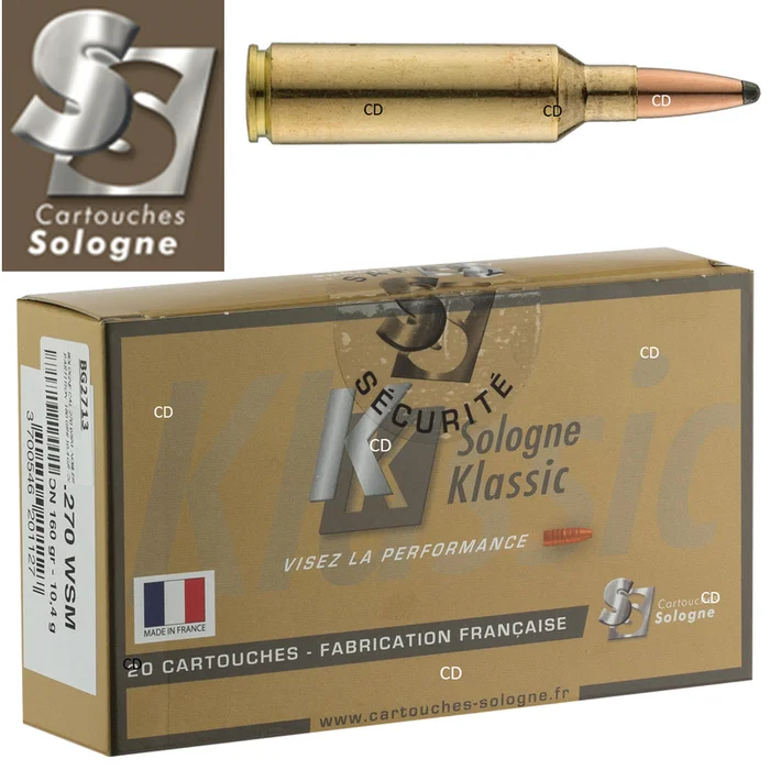 BALLES SOLOGNE KLASSIC 270 WSM 160 GRAINS PAR 20