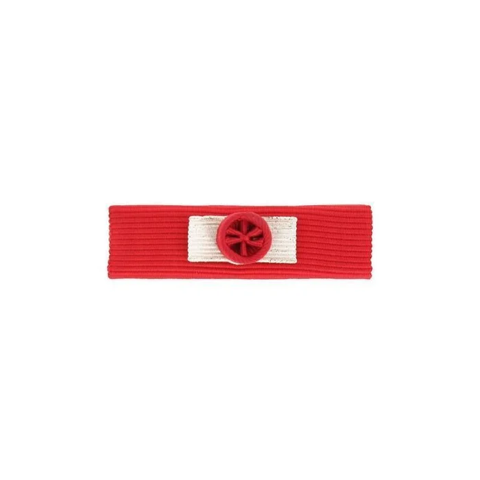 Barrette dixmude Commandeur Légion d’Honneur