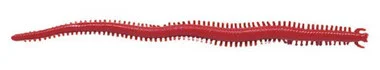 Berkley Gulp! Saltwater Sandworm – 2″ Bloody GSSW2-BY