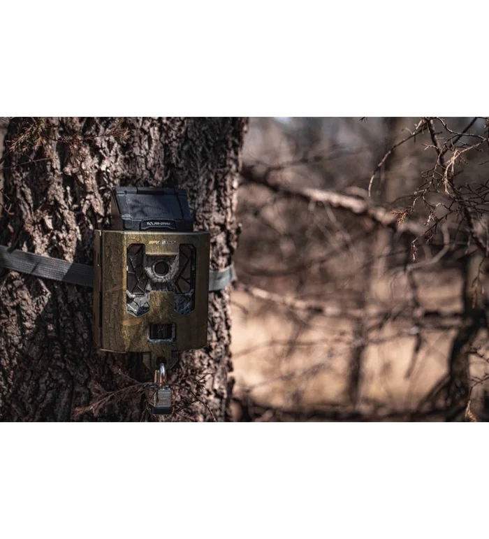 Boîtier de sécurité pour piège photo Spypoint Force et Link