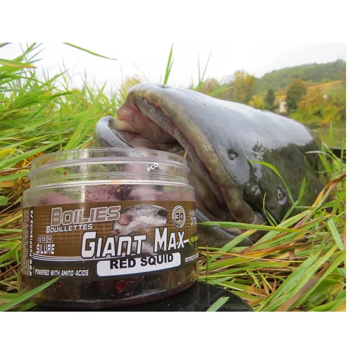 Bouillettes Fun Fishing Giant Max Silure 250G
