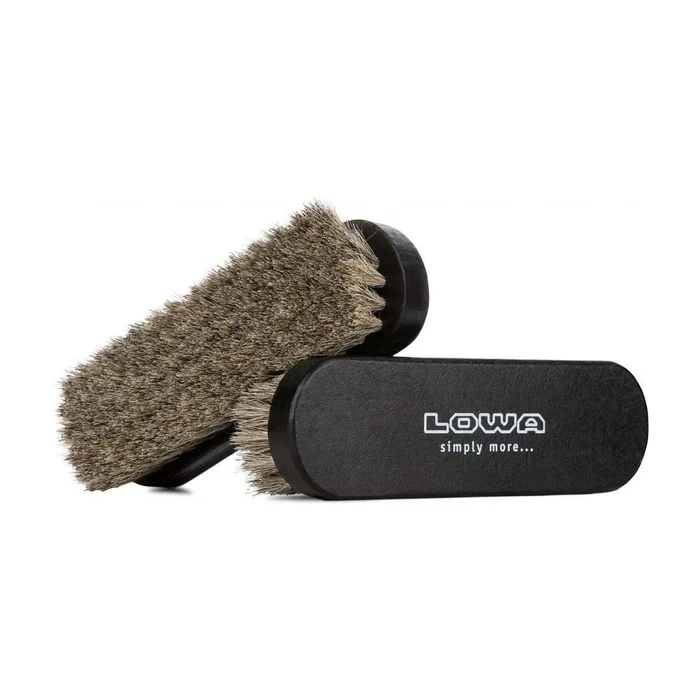 Brosse lustrante