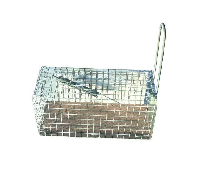 Cage à souris