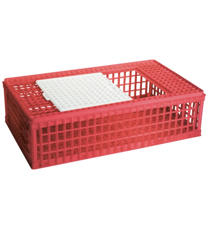 Caisse de transport pour volaille, en plastique, 1 porte