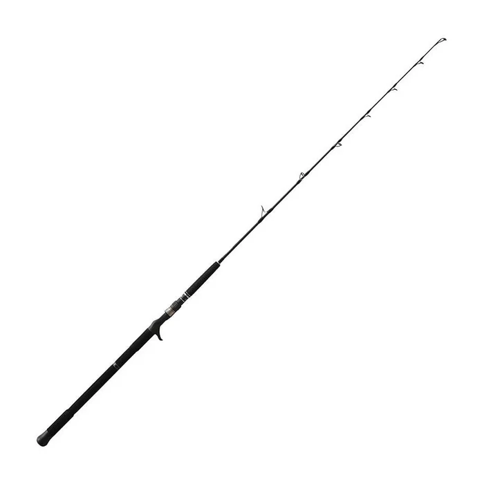 Canne Casting NS Black Hole Boca Jigging