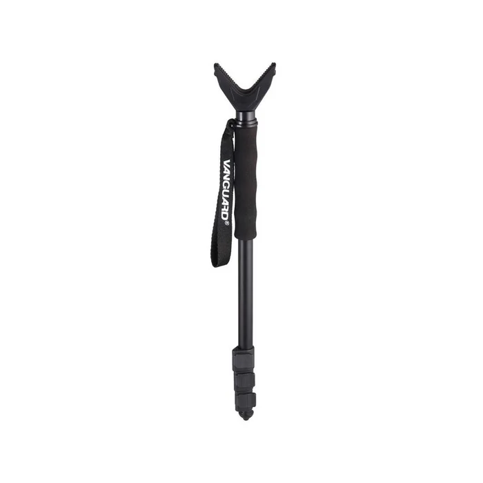 Canne de pirsch Vanguard Scout B62