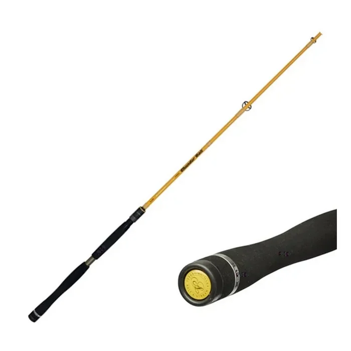Canne Illex Element Rider X5 S 215 H Thunder Bolt
