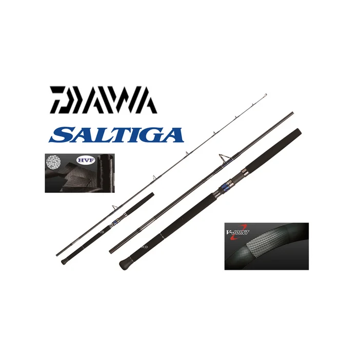 CANNE MER DAIWA SALTIGA BIG GAME 80TNBF
