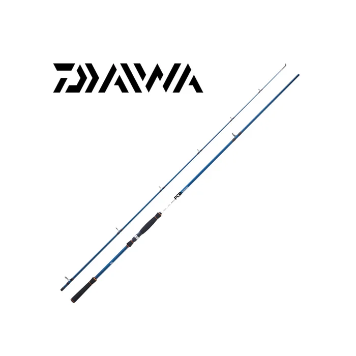 CANNE MER DAIWA SPITFIRE SEABASS 1002 XHFSAF 3M00