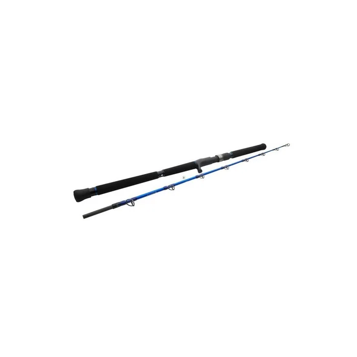 Canne Mer Westin W6 Jigging 155