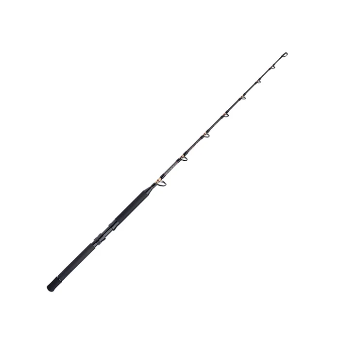 Canne Shimano TLD B Stand Up