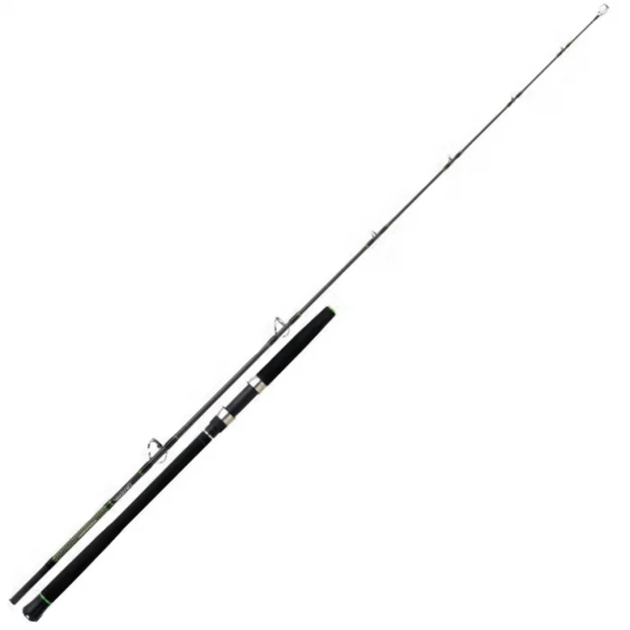 Canne Spinning Daiwa Powermesh Cat Fish 210 I OS