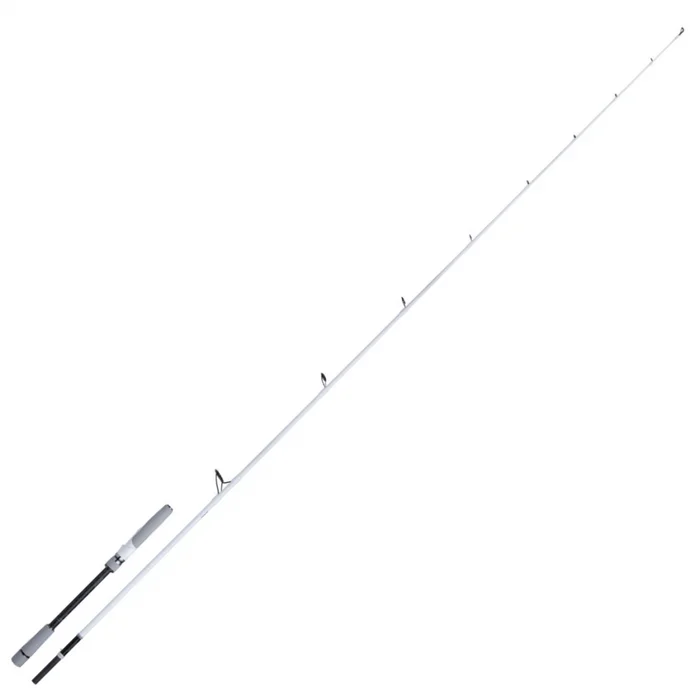Canne Spinning Shimano Stradic Seabass