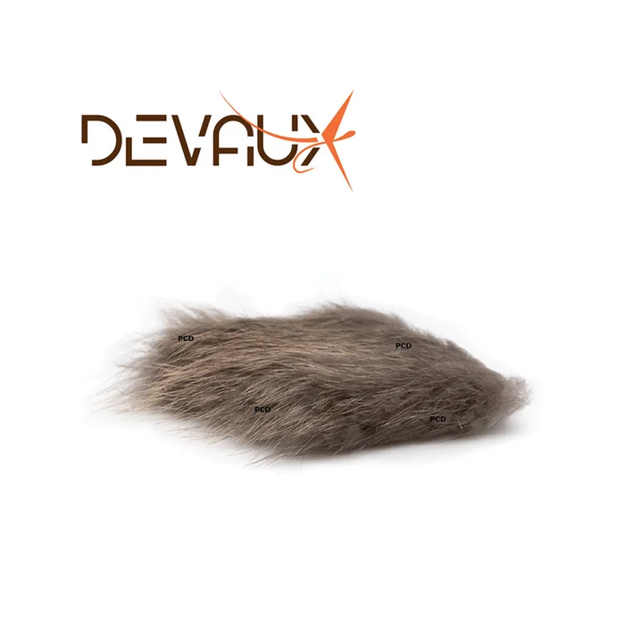 CASTOR DEVAUX