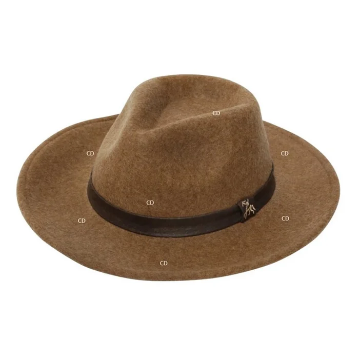 Chapeau Homme Woolchap Fox Verney Carron Marron