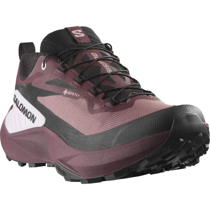 Chaussure Salomon GENESIS GTX