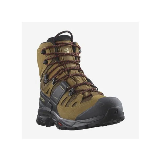 Chaussure Salomon QUEST 4GTX