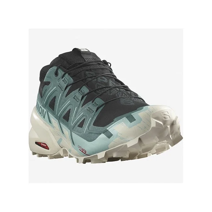 Chaussure trail Salomon Speedcross 6 GTX
