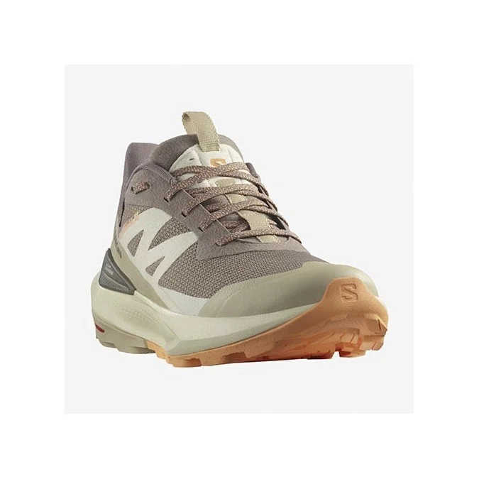 Chaussures Femme Salomon Elixr Activ GTX