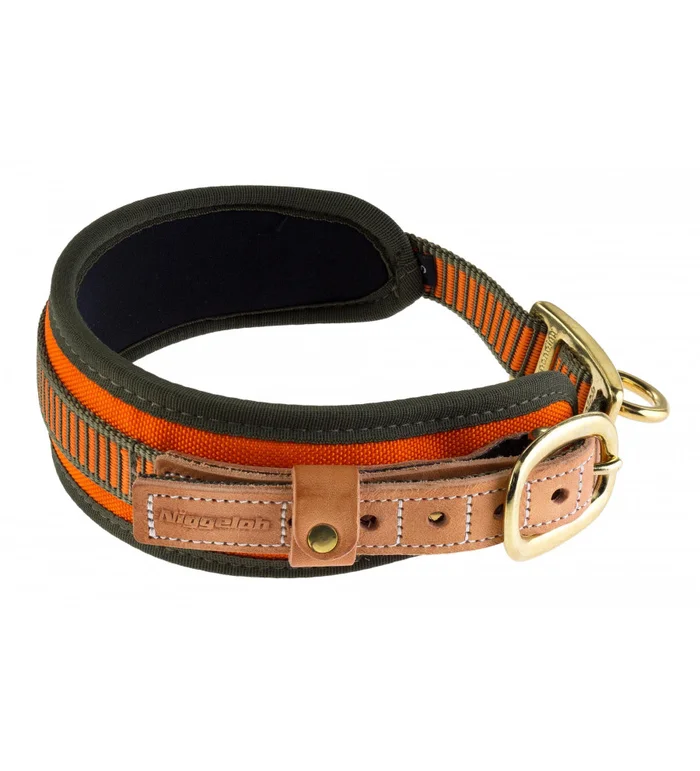 Collier chien de sang orange fluo – Niggeloh