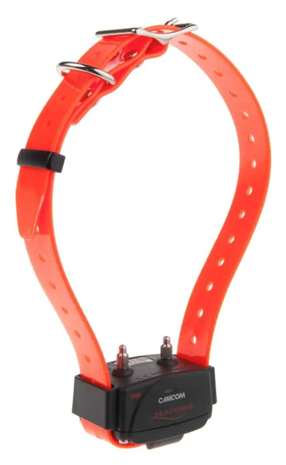 Collier d’éducation Canicom seul