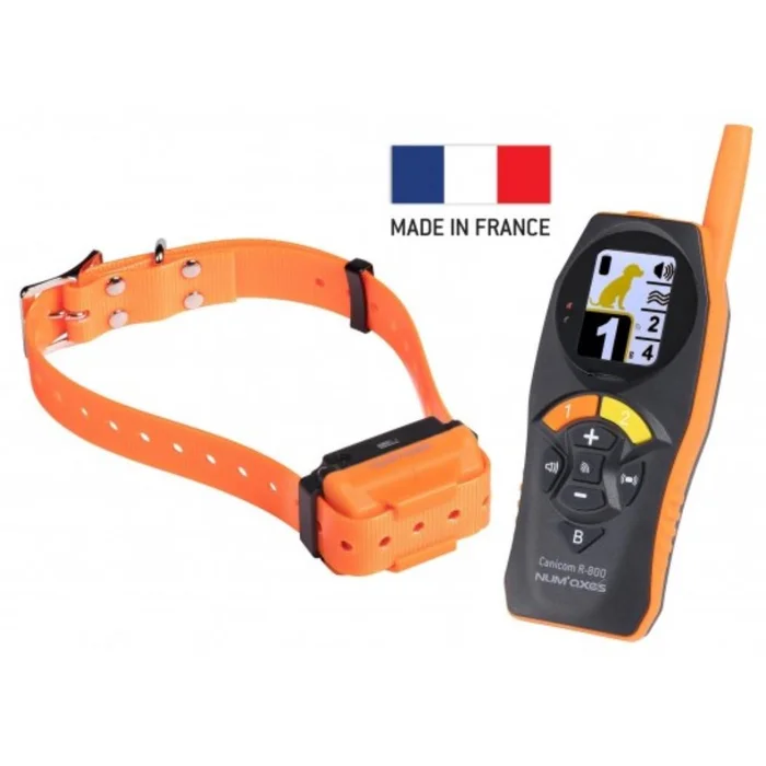 COLLIER DRESSAGE CANICOM R-800