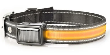 Collier lumineux pour chien Brite-Strike – Grand