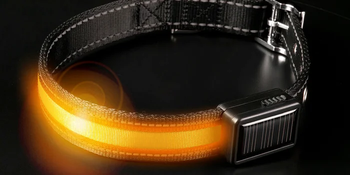 Collier lumineux pour chien Brite-Strike – Grand – Image 2