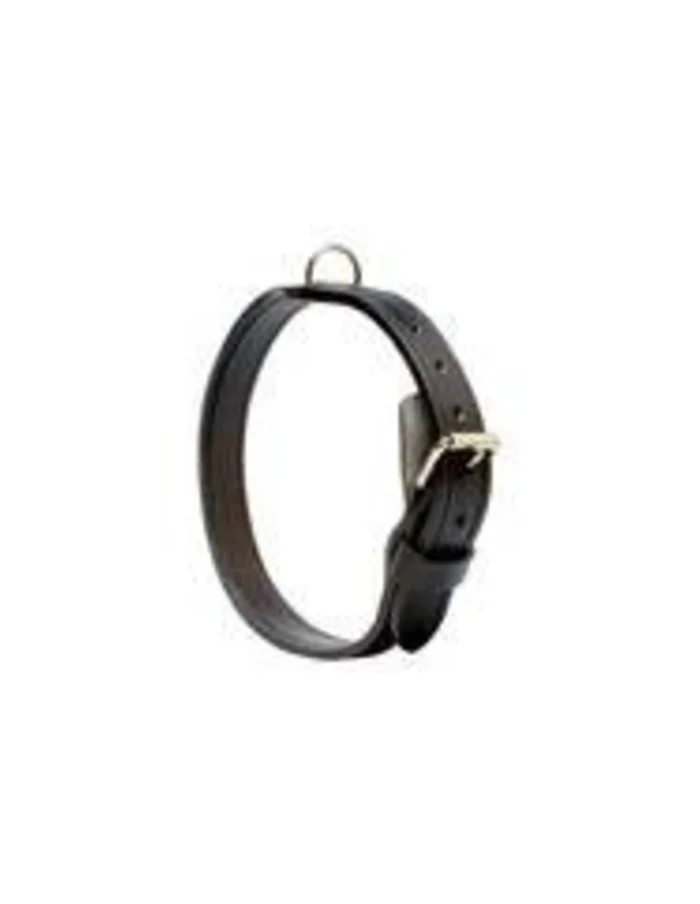 Collier maître chien 30 MM GK sécurité