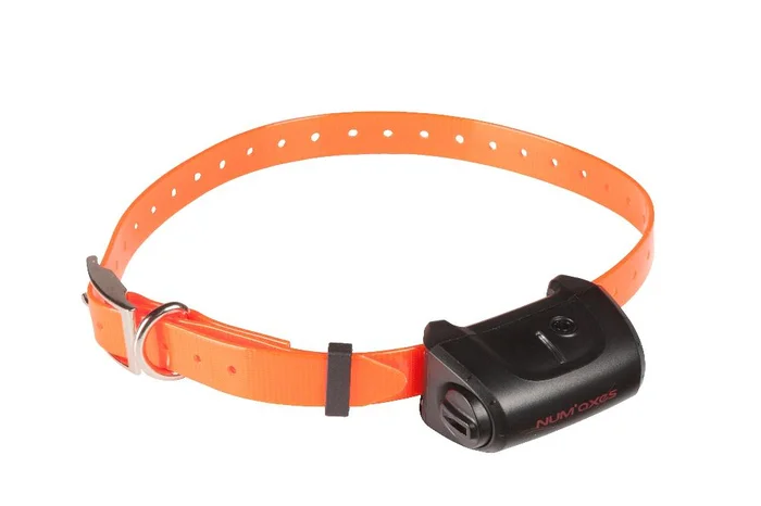 COLLIER SUPPLEMENTAIRE CANICOM 5 ORANGE