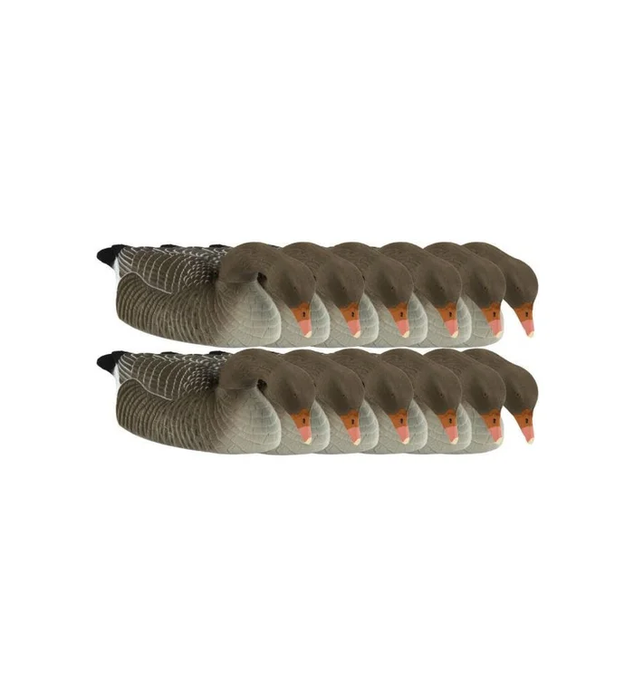 Coquille d&rsquo;oie cendrée floquée mangeuse x12