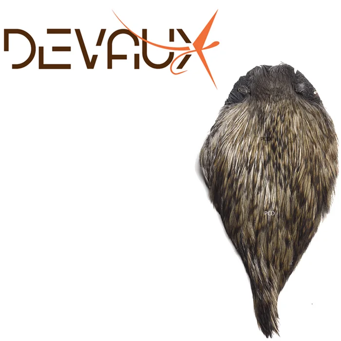 Cou De Coq Devaux Top Grade Teint
