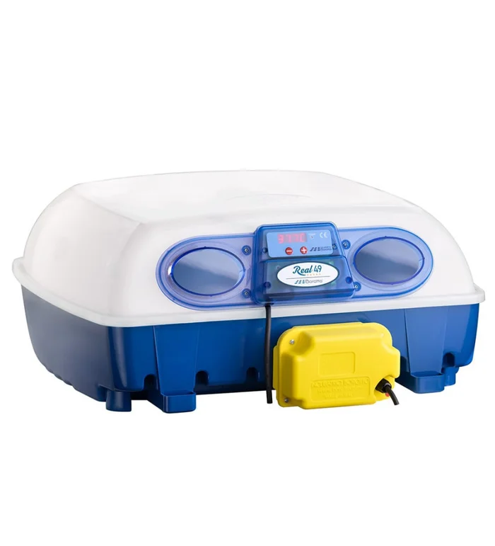 Couveuse REAL 49 œufs BOROTTO automatique