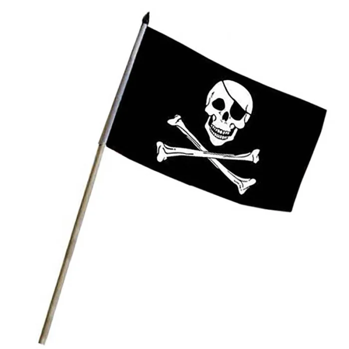 Drapeau PIRATE + hampe 45 cm x 30 cm