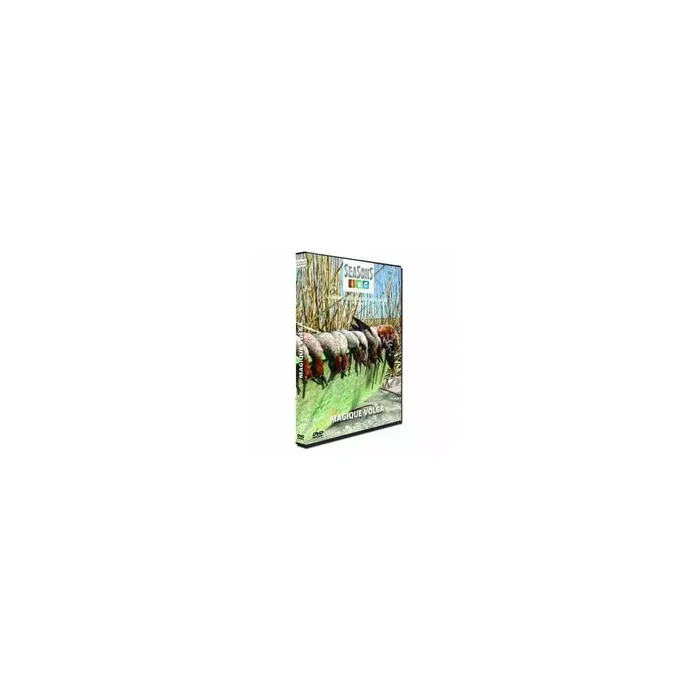 DVD de chasse Magique Volga