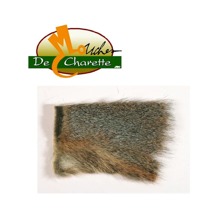 ECUREUIL GRIS SUR PEAU JMC DE CHARETTE